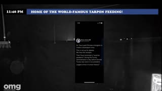 Day of the Lord has never been so close #Repent America