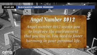 The bible the only book that never gets old more you read it more you know !