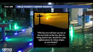 The bible the only book that never gets old more you read it more you know !