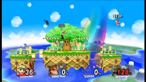 Super Smash Bros Brawl Battle211