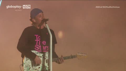 I Miss You - Blink-182 (live)
