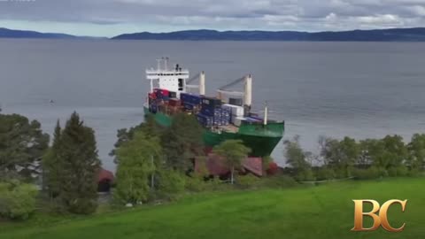 Massive cargo ship runs aground just feet from Norwegian man’s home