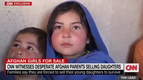 Want to understand what Sharia law really looks like?