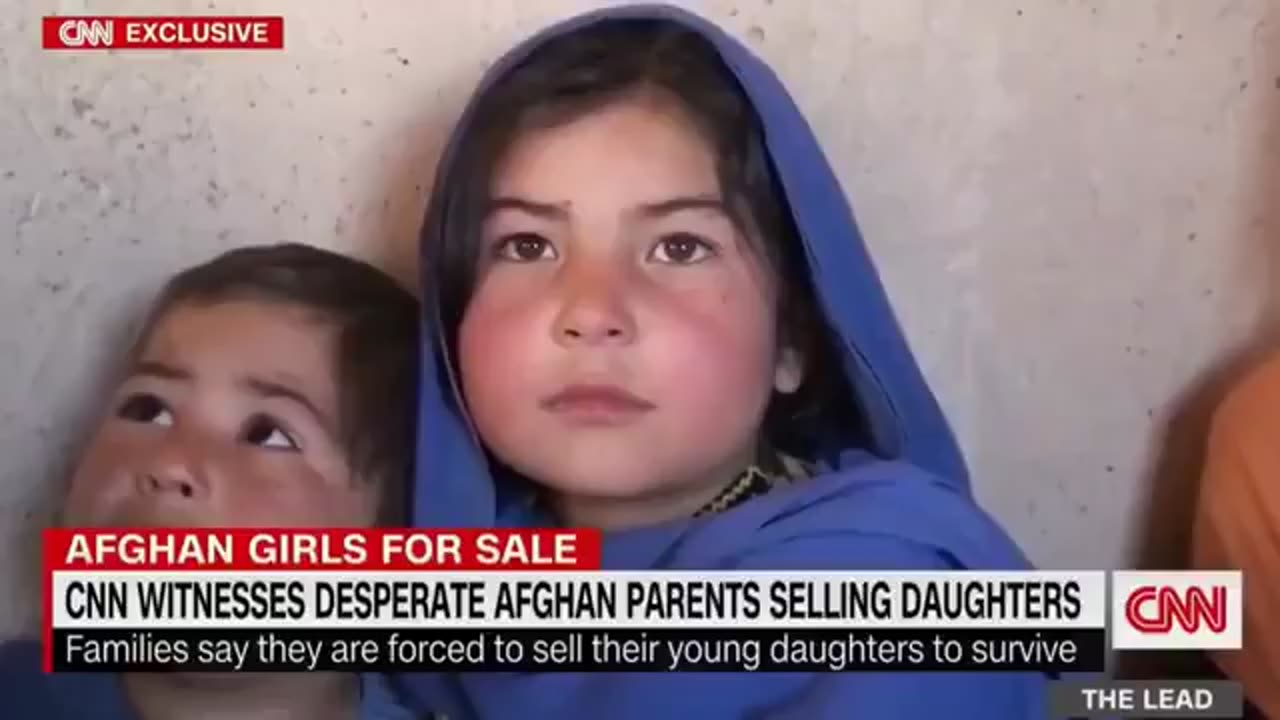 Want to understand what Sharia law really looks like?