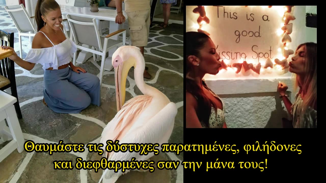 "Δραματική Απόλυση" Βαλσάμως! Valsamo''s Dramatic dismissal!
