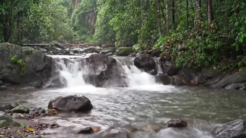Nature Ambience for Meditation & Mindfulness