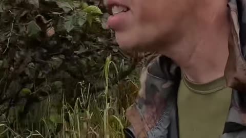 Alaska Survival_ Edible Mountain Ash & Willow Aspirin