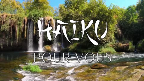HAIKU POUR VOUS