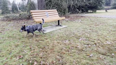 waynes bench photo attempt 2309230984308