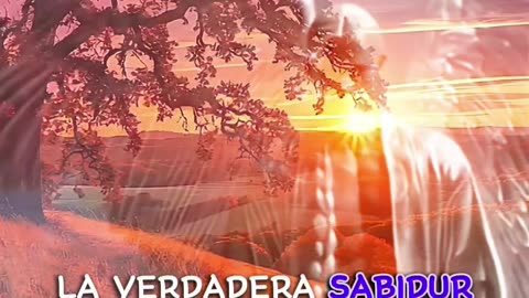 REFLEXIÓN ✨️ ✨️ ✨️