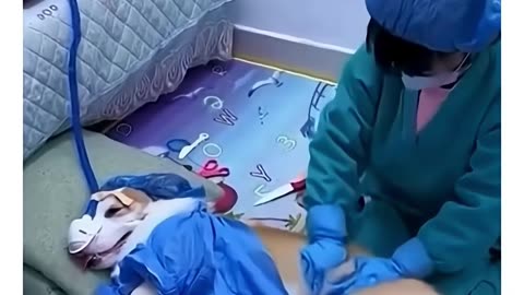 Little doctor playing with dog‍⚕️✨