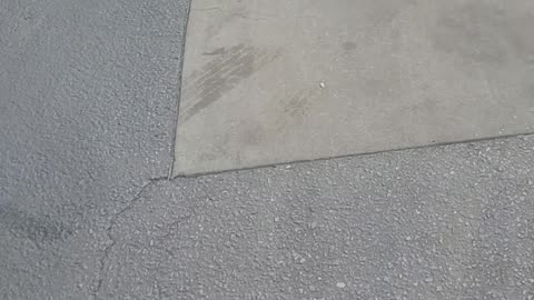 Hit and run at Whataburger