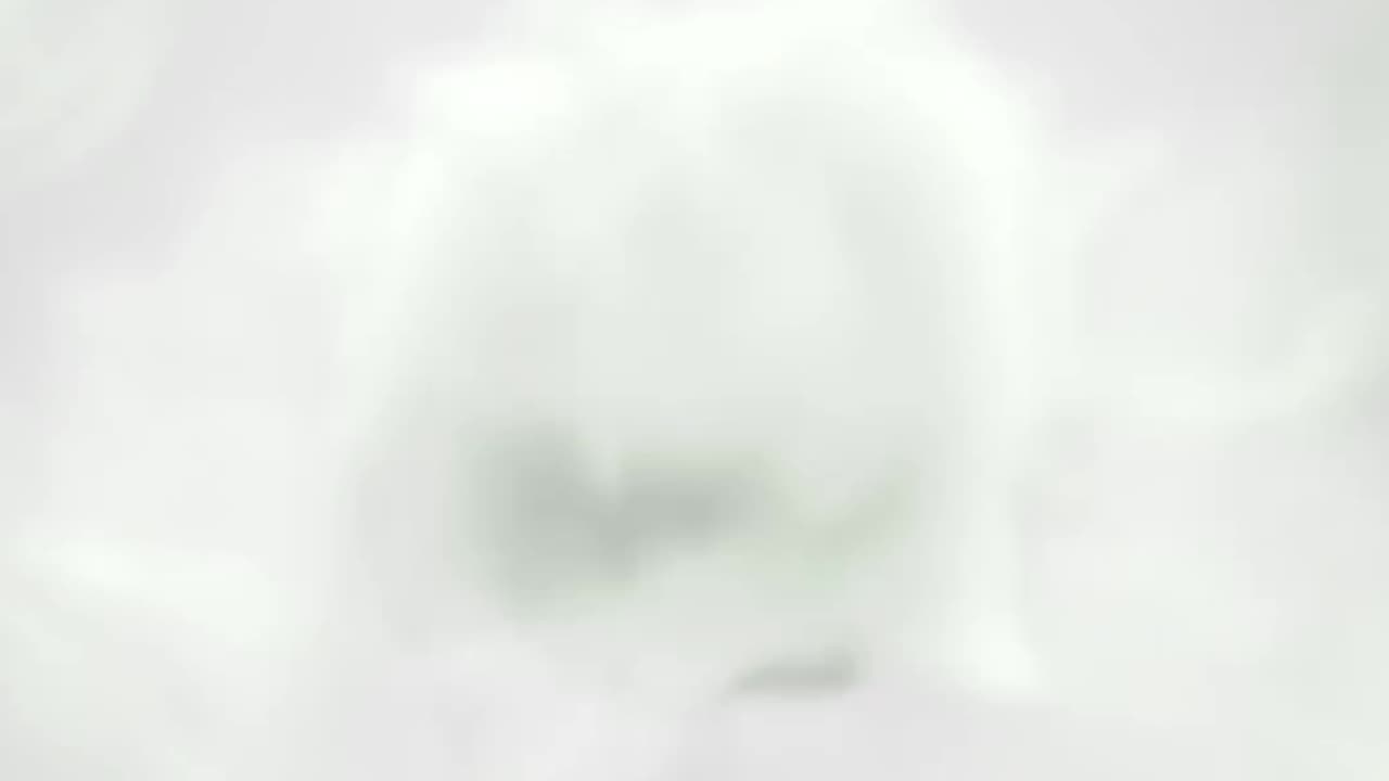 Autopen Scandal - How Bad Is It?