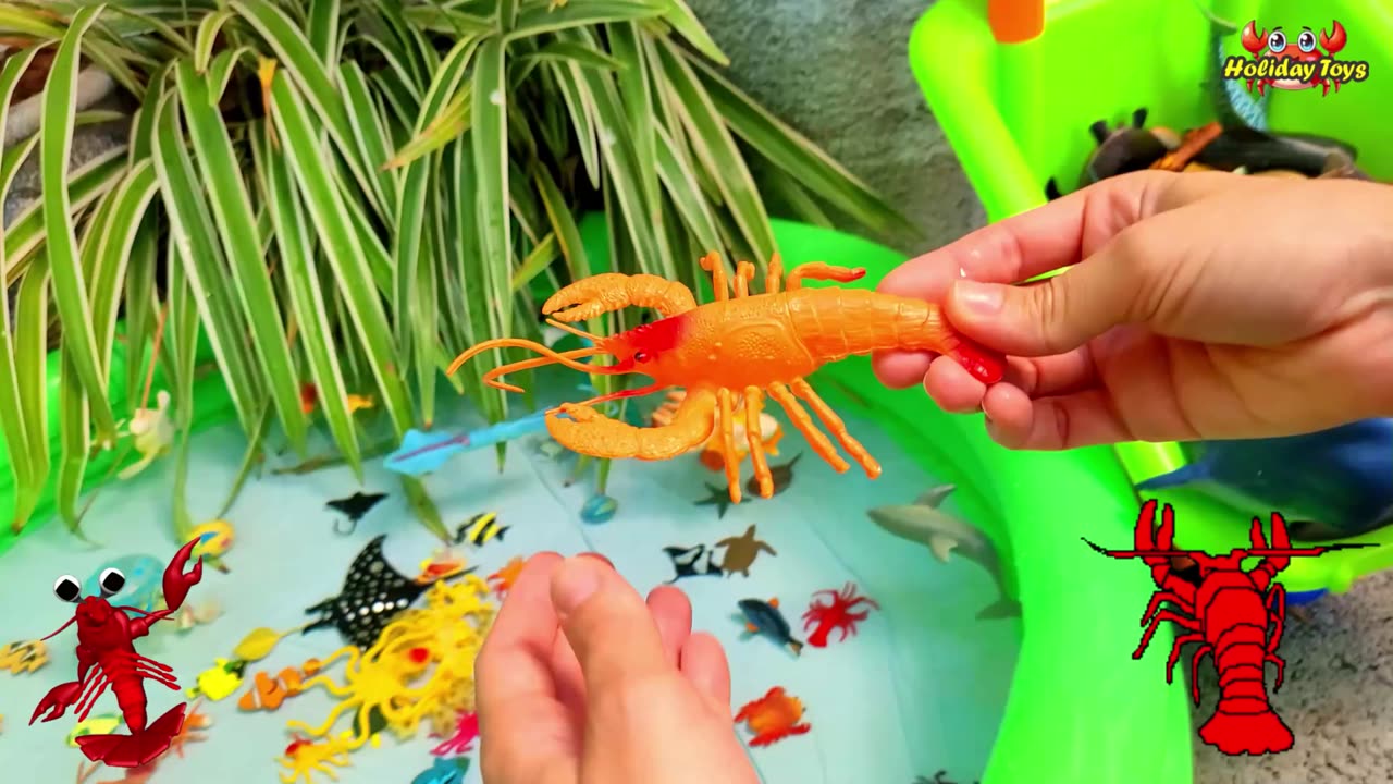 Sea D​ragon Camouflaged with Coral Reefs in the Lagoon