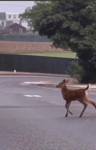 Giving the paparazzi what they want 😝