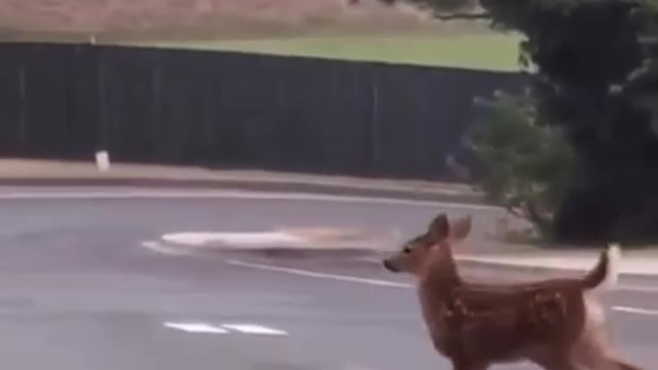 Giving the paparazzi what they want 😝