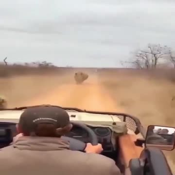 Incredible interactions between humans & animals. ~A Thread