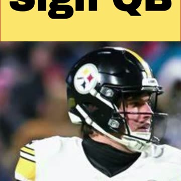 Steelers Sign New QB