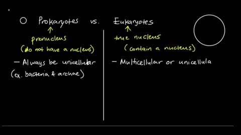 Prokaryotes vs Eukaryotes, Explained