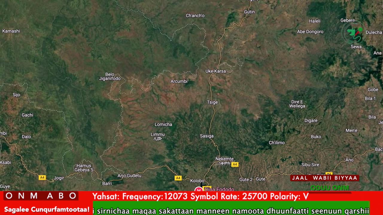 Oduu Ganama ONM-ABO Caamsaa 13-2025 itti dhiyaadhaa!