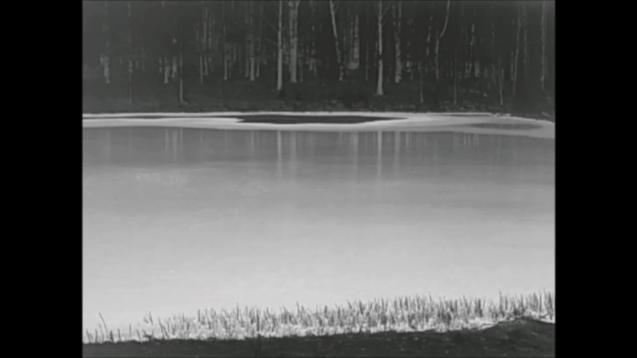 Fish on thermal acting fishy