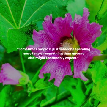 Sometimes magic is just someone spending more time on something than anyone else might reasonably...