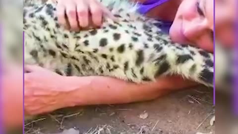 Pretty With Pets 🐾✨