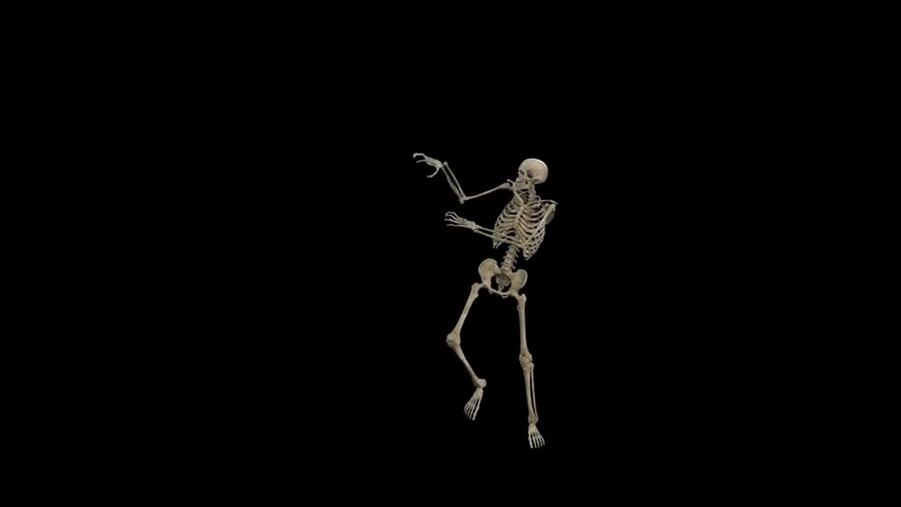 Skeleton, dancing, halloween
