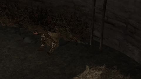 RIP that guy | eve_the_orphan on #Twitch
