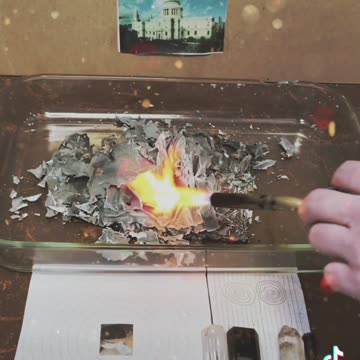 Tim Rifat TikTok Videos