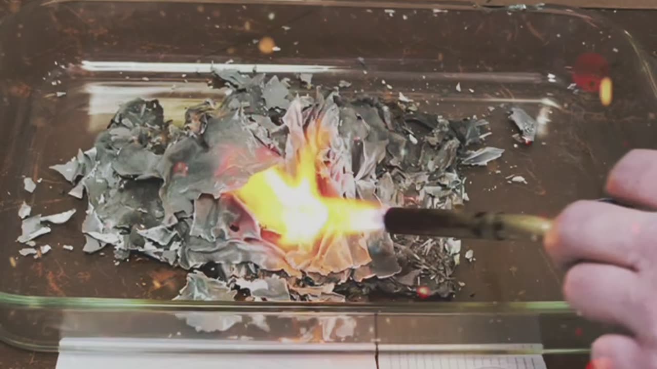 Tim Rifat TikTok Videos