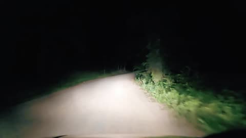 DRIVING THROUGH TALLADEGA NATIONAL FOREST AT NIGHT