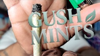 Gelato Gush Mintz from JK Distro #jkdistro