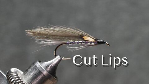 Cut Lips: a Lew Oatman streamer
