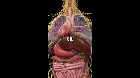 Why Seed Oils Are Harmful ? watch