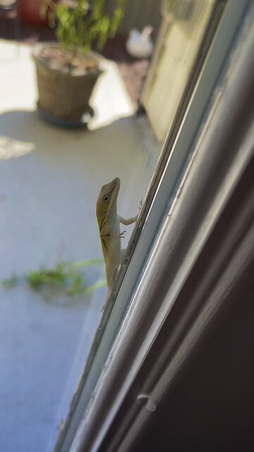 My New Neighbors Are So Nosy!