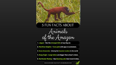 5 Fun Facts About Amazing Animals of the Amazon #funfacts #wildlifefacts #animallovers