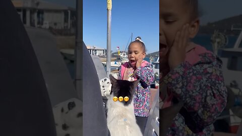 Pets and Babies Funny Fails #funnyanimals #animals #pets #shorts