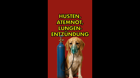 😲 Husten, Atemnot, Lungenentzündung!