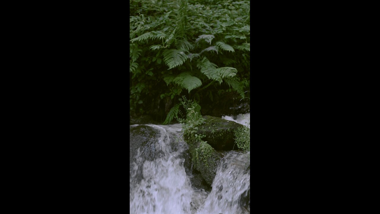 Water Flowing in the River