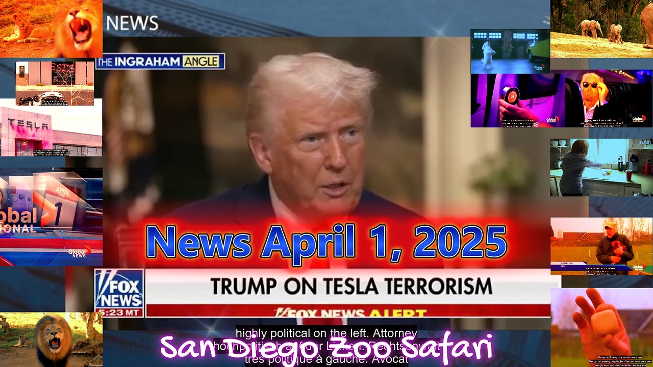 News April 1, 2025. San Diego Safari . joke Clay Toys