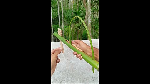 Bamboo shoots