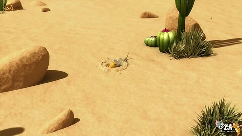 Oscar's and Oasis Cartoons