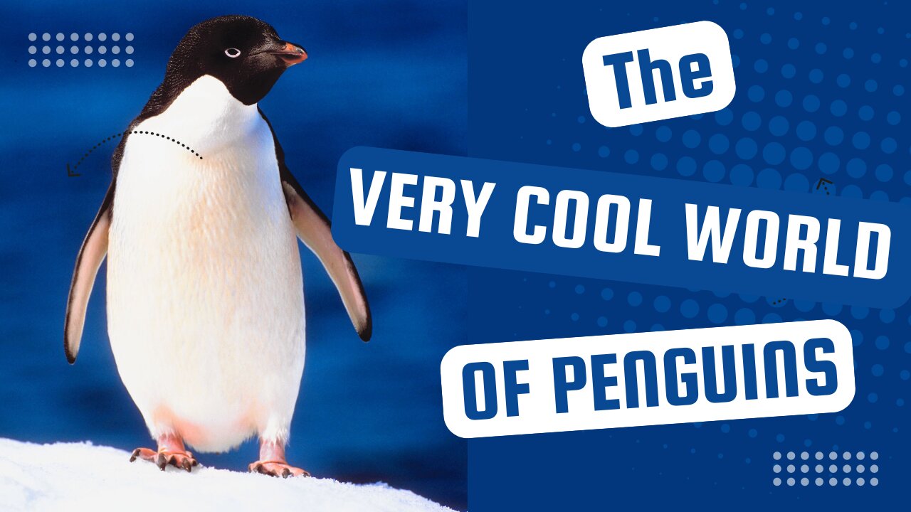 Dive Into The Amazing World of Penguins 🐧✨