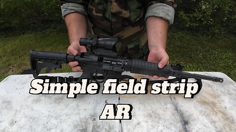 Simple field strip AR