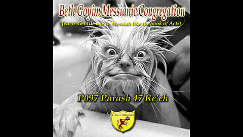 BGMCTV P097 Parash 47 Re’eh (see) D'varim (Deut) 11:26 –16:17