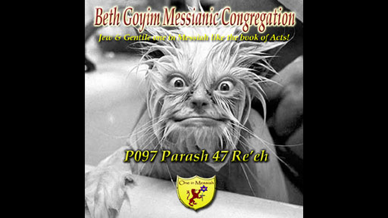 BGMCTV P097 Parash 47 Re’eh (see) D'varim (Deut) 11:26 –16:17