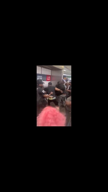 Huge fight erupts in 'America's most dangerous subway line' in Chicago