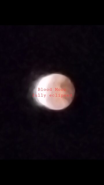Blood moon fully eclipsed