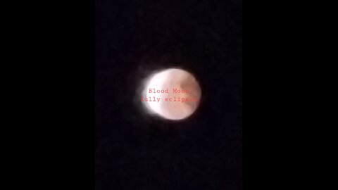 Blood moon fully eclipsed